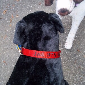 Custom embroidered dog collar