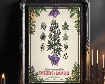 Monkshood Wolfsbane Poison Botanical Print, Occult Wall Art, Gothic Study Decor