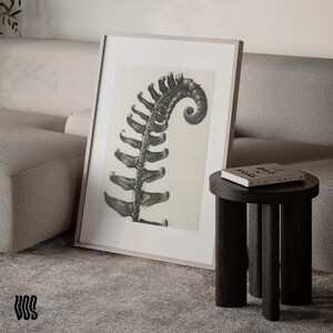 Pode incluir: Uma impressão de arte de parede vertical emoldurada apresentando uma ilustração botânica em preto e branco de alto contraste de uma folha de samambaia enrolada. A obra é exibida em uma moldura de madeira clara com borda branca.