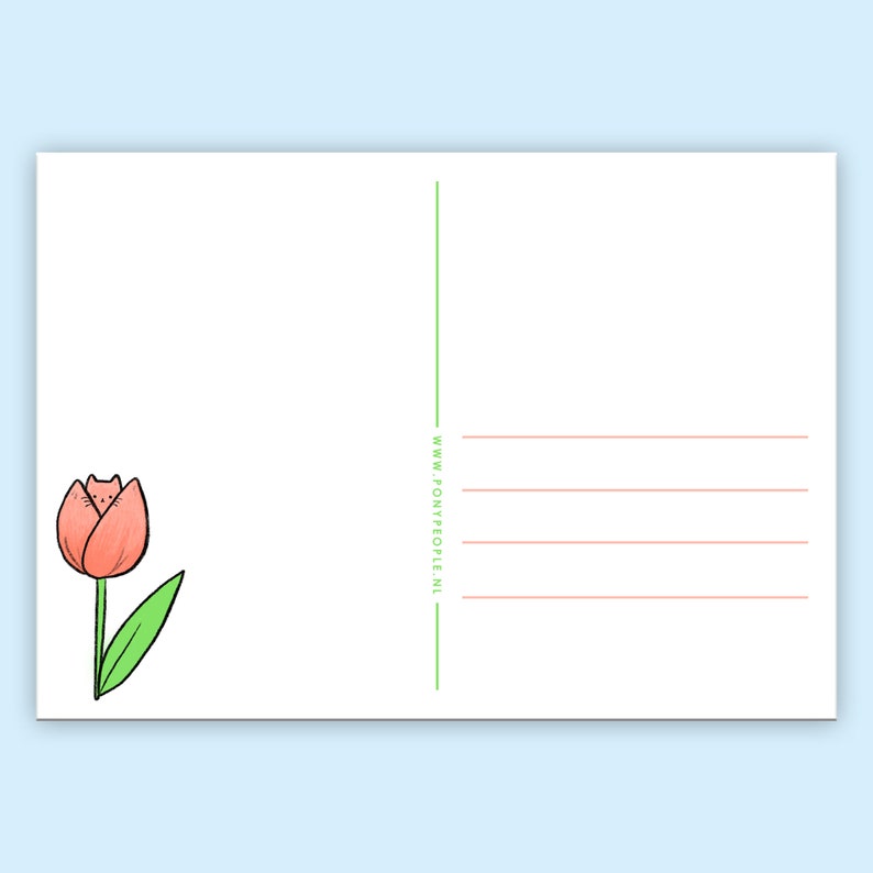 Tulip Kitty Postcard image 2