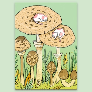 Mushroom Kitties Postcard