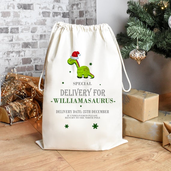 Dinosaur christmas bag sale
