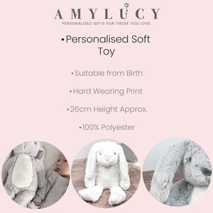 Conejito personalizado, regalo para recién nacido, peluche personalizado, osito de peluche con tu nombre, juguete de peluche, regalo para baby shower de niñas y niños imagen 2