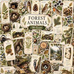 May include: A collection of paper ephemera featuring forest animals, woodland plants, and nature-themed tags. The central label reads FOREST ANIMALS 30 PAGES. Illustrations include a fox, badger, owl, birds, snakes, ferns, and pinecones.