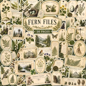 May include: A collection of vintage-style paper ephemera featuring botanical and nature illustrations, including ferns, mushrooms, birds, flowers, and woodland scenes, with the central text reading FERN FILES 30 PAGES.