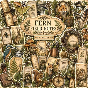 May include: A collection of stickers featuring woodland themes, including a fox, owl, rabbit, squirrel, kingfisher, mushrooms, ferns, a compass, and a magnifying glass. The central label reads FERN FIELD NOTES 30 PAGES.