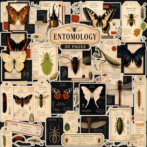 Może przedstawiać: Kolekcja naklejek o tematyce entomologicznej przedstawiająca różne owady, takie jak motyle, chrząszcze, pszczoły i ważki, wraz z etykietami w stylu vintage, notatkami naukowymi i centralnym znakiem z napisem ENTOMOLOGY 30 PAGES.