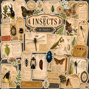 May include: A collection of vintage-style paper ephemera featuring illustrations of various insects, including dragonflies, beetles, moths, and a praying mantis, alongside botanical elements, specimen labels, and the text Insects 30 Pages.