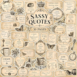 May include: A collection of 30 vintage-style paper stickers featuring various sassy quotes, floral illustrations, butterflies, crowns, keys, and coffee cups. The designs are printed in black ink on a beige, aged parchment-like background with ornate borders.