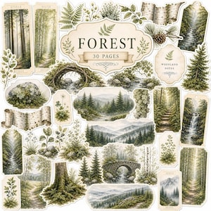 May include: A collection of die-cut paper ephemera featuring forest-themed illustrations, including woodland landscapes, pine trees, birch bark, stone bridges, and ferns. The central label reads FOREST 30 PAGES, with another reading WOODLAND NOTES.