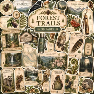 May include: A collection of paper ephemera featuring forest-themed illustrations including a raccoon, hedgehog, owl, mountains, pinecones, a thermos, a wooden whistle, and trail maps with text labels like Forest Trails, Timber Cabin, and Field Gear.