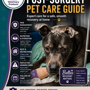 May include: A dark-furred dog with a bandaged front paw rests on a teal blanket. The informational graphic features the text Vet-Written Post-Surgery Pet Care Guide, listing sections for pain management, nutrition, rest, warning signs, and follow-up care.