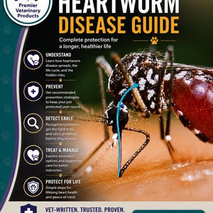 May include: A vertical informational poster titled VET-WRITTEN HEARTWORM DISEASE GUIDE. It features a detailed photograph of a mosquito on skin, with text sections covering understanding, prevention, early detection, treatment, and lifelong protection.
