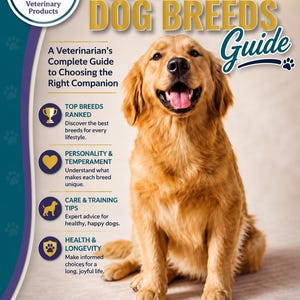 May include: A digital guide titled Top 10 Dog Breeds Guide featuring a golden retriever. The text includes A Veterinarian's Complete Guide to Choosing the Right Companion, Top Breeds Ranked, Personality & Temperament, Care & Training Tips, and Health & Longevity.