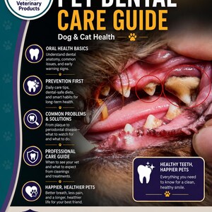 May include: A dark-themed informational guide titled Pet Dental Care Guide by Premier Veterinary Products. It features a close-up photograph of a dog's mouth with plaque buildup, alongside text sections on oral health, prevention, and professional care.