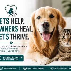 May include: A golden retriever and a tabby cat sit together. Text reads: VETS HELP. OWNERS HEAL. PETS THRIVE. PRACTICAL VETERINARY GUIDANCE. REAL-WORLD ANSWERS. HEALTHIER, HAPPIER PETS. VETERINARIAN WRITTEN. OWNER APPROVED. TRUSTED BY VETS. MADE FOR PET OWNERS. BETTER CARE EVERY DAY.