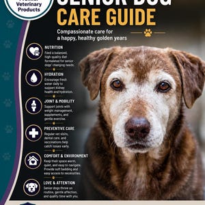 May include: A senior dog care guide featuring a brown dog with a white muzzle. The text reads: VET-WRITTEN SENIOR DOG CARE GUIDE, Compassionate care for a happy, healthy golden years, Nutrition, Hydration, Joint & Mobility, Preventive Care, Comfort & Environment, Love & Attention, VET-WRITTEN. TRUSTED. PROVEN. Because every step of care matters. Compassionate Guidance. Healthier Pets.