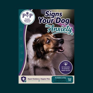 Signs Your Dog Has Anxiety