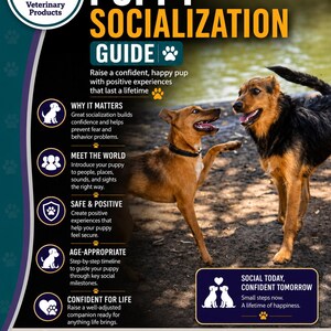 May include: A vertical informational flyer titled Vet-Written Puppy Socialization Guide. It features two dogs playing outdoors, a Premier Veterinary Products logo, and bulleted sections detailing socialization steps, milestones, and advice for raising a confident puppy.