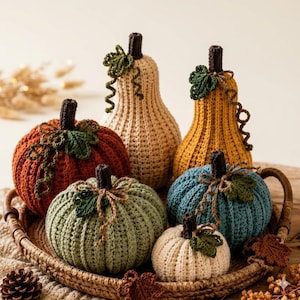 Può includere: Una collezione di sei zucche all'uncinetto di varie forme e dimensioni, nei colori arancione ruggine, crema, giallo senape, verde salvia e verde acqua. Ogni zucca presenta un gambo marrone scuro, foglie all'uncinetto verdi e viticci.