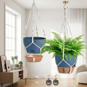 May include: Two hanging planters with ferns and a blue pot. The planters are suspended from the ceiling with macrame hangers. The pots have a matching saucer. The room has a window, a cabinet, and a white chair.