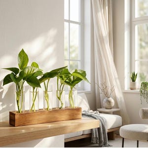 May include: A wooden propagation station with five clear glass tubes, each holding a green plant cutting. The wooden base is rectangular and sits on a light-colored wooden surface. The background includes a window and a neutral-toned interior.