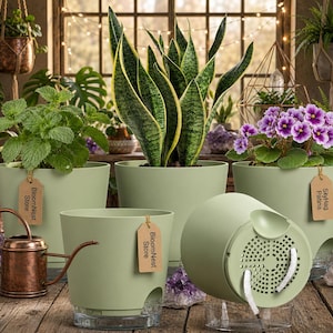 5inch Hanging Pots - Etsy
