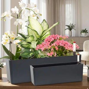 May include: Two dark gray rectangular planters filled with vibrant plants and flowers. One planter holds white orchids, green foliage, and pink flowers. The other planter is smaller and empty. The planters are on a wooden surface near a window.