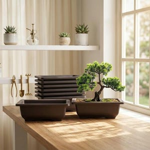 May include: A bonsai tree with vibrant green foliage sits in a brown rectangular pot on a wooden table. Additional brown rectangular pots are stacked nearby. Small gardening tools and potted succulents are on shelves in the background.