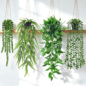 May include: Four artificial hanging plants in black pots suspended by thin cords. The set includes a string of pearls, a feathery fern, a broad-leafed vine, and a trailing plant with small round leaves, all featuring vibrant green foliage.