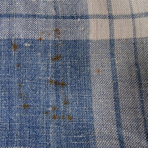 May include: A close-up of a blue and white checkered fabric with brown stains.