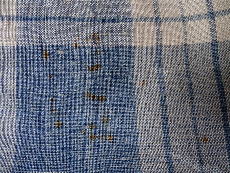 May include: A close-up of a blue and white checkered fabric with brown stains.