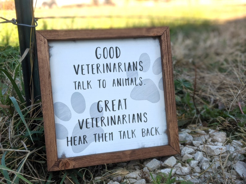 Veterinarian Gift Vet School Gift Veterinarian Office Sign Etsy