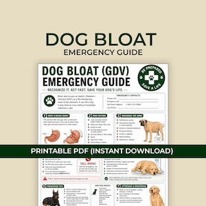 Peut inclure: Un guide d'urgence sur le ballonnement canin (GDV) sous forme d'affiche avec du texte et des graphiques vert foncé. Il comprend des sections sur les facteurs de risque, les signes, la prévention et les soins, avec des illustrations anatomiques.