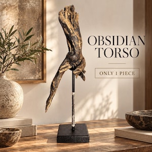 Peut inclure: Un morceau de bois flotté brun foncé et patiné en forme de torse, monté sur une fine tige métallique noire et une base rectangulaire noire. Le texte OBSIDIAN TORSO et ONLY 1 PIECE est visible à droite de la sculpture en police serif.