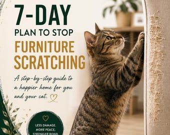 Op de afbeelding: Een promotieflyer voor een 7-daags plan om krabben aan meubels te stoppen door Healify. Het toont een bruine cyperse kat die aan een beige bank krabt. De tekst bevat: 7-DAY PLAN TO STOP FURNITURE SCRATCHING, A step-by-step guide to a happier home.