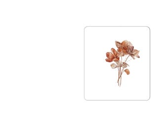 Dried Eucalyptus Bouquet Sticker | Kiss-Cut Sticker