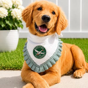 Custom Dog Bandana with Patch, Preppy Coastal Pet Bandana, Funny Unhinged Dog Scarf, Adjustable Snap Neckerchief Gift