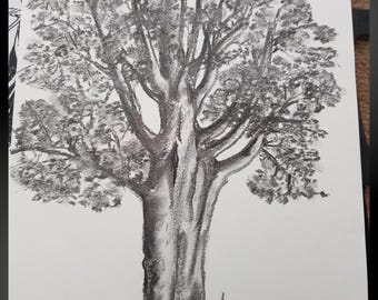 Un árbol... un simple árbol...