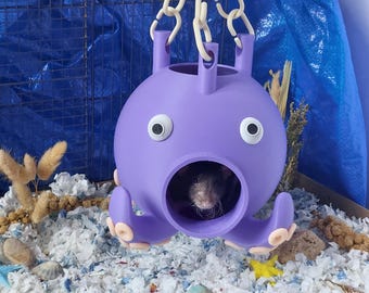 Octopus hanging hide