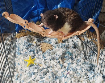Seashell rat hanging bridge - rat cage accessories - mice cage accessories