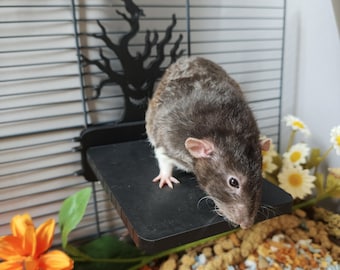 Scary tree mounted platform - Halloween cage accessory - Rat cage ledge