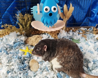 Squid game - rat enrichment toys - rat accessories