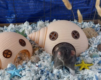 Seashell small animal hide - ocean themed pet accessories
