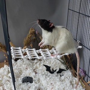 May include: A black and white rat standing on a white bridge shaped like a series of connected bones. The bridge is positioned over white bedding with a small black bat silhouette and a gray tombstone-shaped object with the letters RIP.