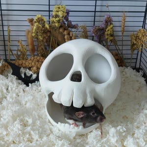 May include: A white ceramic skull-shaped hideout with large eye sockets and an open jaw. A small dark gray rat is positioned inside the lower jaw area of the skull. The skull features a smooth matte finish and is designed as a pet accessory.