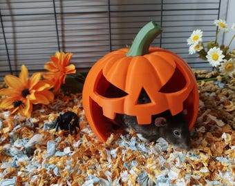 Scary pumpkin small animal hide - Halloween cage accessory - Rat hide