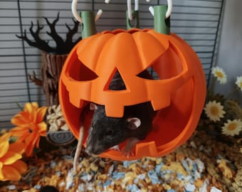 Small animal scary pumpkin hanging hide - Halloween cage accessory - Rat house