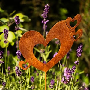 May include: A weathered, rusty brown metal garden ornament in the shape of a heart, with three smaller hearts incorporated into the design. The heart stake is set in a garden with purple flowers and green leaves.