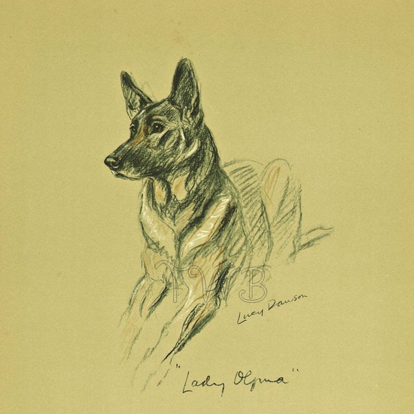GERMAN SHEPHERD Dog Print, Puppy Print, Wall Decor, Wall Art, Antique Decor, Interior Design, Lucy Dawson, 1930s Home Decor, Dog Decor, B-3
